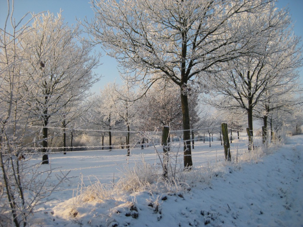Winterimpressionen