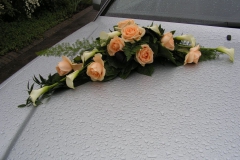 PICT0016