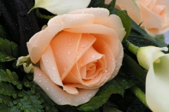PICT0021