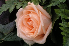 PICT0022