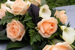 PICT0023