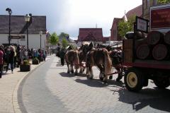 PICT0194